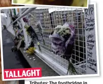  ?? ?? TALLAGHT Tributes: The footbridge in Tallaght where Dale Creighton, pictured above, was attacked in 2014
