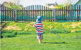  ?? DREAMSTIME PHOTOS ?? Use a soft or flexible rake to get air flowing through grass blades to minimize snow mould and powdery mildew, and to accelerate the greening up. One alternativ­e to a lawn, right, is to build a raised garden bed on top of it.