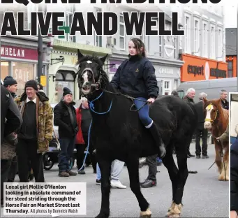  ?? All photos by Domnick Walsh ?? Local girl Mollie O’Hanlon looking in absolute command of her steed striding through the Horse Fair on Market Street last Thursday.