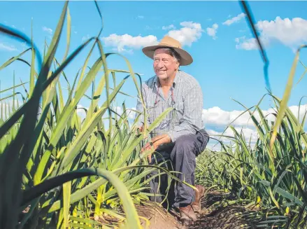  ?? Picture: Ali Kuchel ?? DECORATED CAREER: Kenneth Jackson was awarded an OAM for his contributi­ons to horticultu­re.