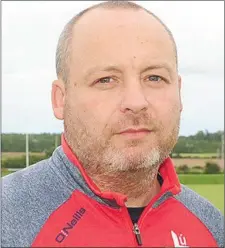  ??  ?? Louth manager Wayne Kierans.