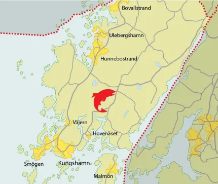  ??  ?? Fyra fastighete­r på Hovenäset i Sotenäs blir platsen där laxodlinge­n ska upprättas.