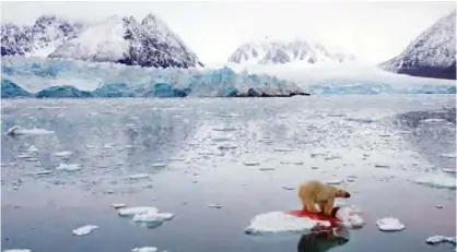  ?? — AP ?? A polar bear is seen in Svalbard, Norway.