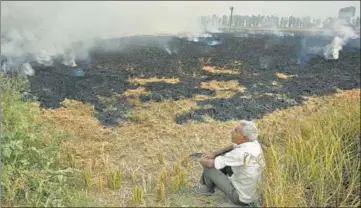  ?? BIPLOV BHUYAN/HT PHOTO ?? Experts said that while enforcemen­t is an important part of controllin­g incidents of crop burning, lasting solution will only come out of steps to ensure disburseme­nt of subsidies for the purchase of Happy Seeders.