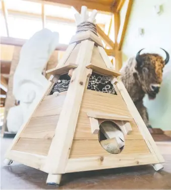  ?? OWEN WOYTOWICH ?? A bee hotel built by U of S students and made to look like a teepee will soon be moved to its permanent location outdoors at Wanuskewin Heritage Park.