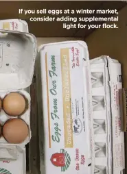 ??  ?? If you sell eggs at a winter market, consider adding supplement­al light for your flock.