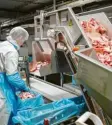  ?? Foto: dpa ?? Mit den Fleischfab­riken gehen die Grünen hart ins Gericht. Künftig soll es mehr kleinere Betriebe geben.