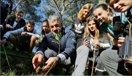  ?? (Photos Adeline Lebel) ?? Pas moins de  arbres seront replantés an ce mois de décembre à l’entrée du Creps de Boulouris.