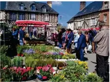  ??  ?? Fête des géraniums.