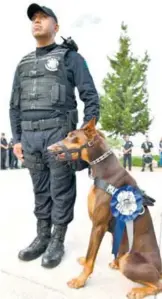  ?? Foto: Cortesía Mpio Ags. ?? LA ALCALDESA Tere Jiménez homenajeó con honores a dos binomios caninos y a un equino que se entregaron en adopción.