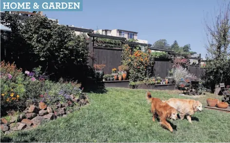  ?? Photos by Liz Hafalia / The Chronicle ?? The dog- and child-friendly Olinger garden will be on Saturday’s Portola neighborho­od garden tour offering peeks at 22 plots.