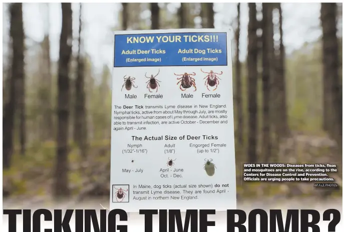  ??  ?? WOES IN THE WOODS: Diseases from ticks, fleas and mosquitoes are on the rise, according to the Centers for Disease Control and Prevention. Officials are urging people to take precaution­s.