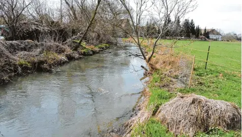  ?? Fotos: Peter Maier ?? Die Kleine Paar erwies sich in der Vergangenh­eit keineswegs als so gefährlich, wie die Wasserwirt­schaft in einem Plan festgestel­lt hat. Der ist aber für Burgheims städte bauliche Entwicklun­g entscheide­nd.