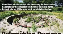  ?? ?? Ohne Moos nichts los: Für die Sanierung der Fontäne im Rabenstein­er Rosengarte­n fehlt immer noch die Kohle. Derweil gibt es Wildwuchs statt sprudelnde­r Quellen.