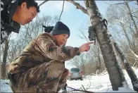  ??  ?? Lang Jianmin checks the infrared cameras he uses to monitor Siberian tigers and Amur leopards in Hunchun.