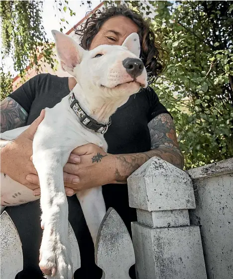  ??  ?? Reporter Virginia Fallon with her baffling bull terrier Andy. He knows that his human mother loves him but he’s not so happy with her floral chair.