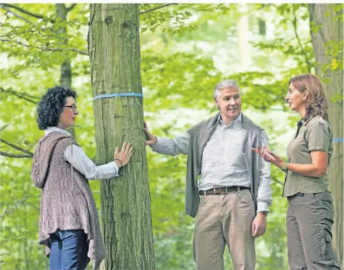  ?? FOTO: DJD/FRIEDWALD ?? Das ist der Baum, an dem später einmal die eigene Ruhestätte sein soll: Immer mehr Menschen legen Wert darauf, eine solche Auswahl schon zu Lebzeiten zu treffen.