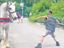  ??  ?? SUCKER PUNCH: A carriage driver says this man caught midwindup attacked his horse, Mary, and two others before fleeing.