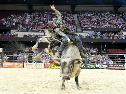  ?? PHOTO: ELISE DERWIN ?? BUCKING BULL: Fraser Babbington in the championsh­ip round of the PBR Australia Adelaide Invitation­al at the Adelaide Entertainm­ent Centre, SA.