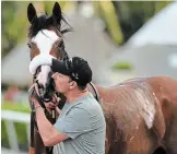  ?? RYAN THOMPSON THE ASSOCIATED PRESS FILE PHOTO ?? In this March 28 photo, Tiz the Law gets a kiss from barn foreman Juan Saldana.