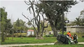  ??  ?? Intervençã­o incluiu criação de percursos, árvores e obras no lago