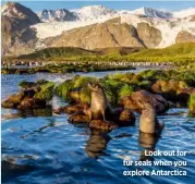  ??  ?? Look out for fur seals when you explore Antarctica