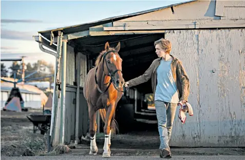  ??  ?? A star is born: Charlie Plummer as Charley in Lean on Pete