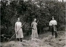  ??  ?? 1930-TAL. Rut, Gerda och Bror Svensson i höslåttern.