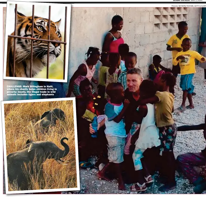  ?? ?? CHALLENGE: Mark Billingham in Haiti, where his charity helps children living in poverty; insets, the illegal trade in wild animals includes tigers and elephants