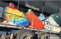  ??  ?? ●●Stockport’s giant frogs have been auctioned off