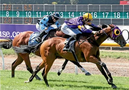  ?? PHOTO: RACE IMAGES ?? Boots ‘N’ All is equal top-weight in the Easter Handicap at Riccarton Park today.