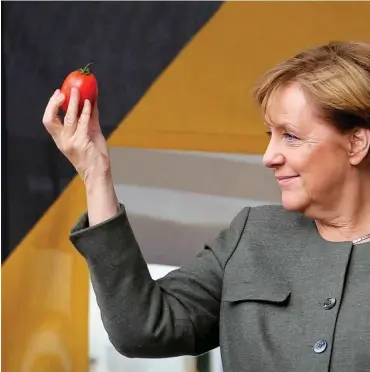  ?? Foto: dpa/ M. Assanimogh­addam ?? Wutbürger warfen Tomaten, um Gehör zu finden. Bald könnten sie Volksbegeh­ren anstrengen.