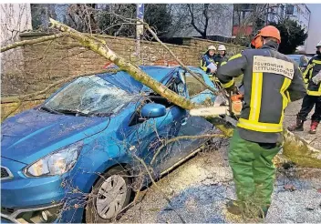  ?? FOTO: DPA ?? In Bochum war ein Baum um- und auf ein Auto gestürzt, die Feuerwehr zerlegt ihn.