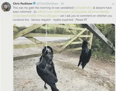  ??  ?? 0 Chris Packham tweeted this images of the dead birds left on the gate at his home