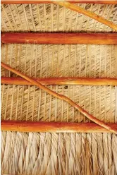  ??  ?? The ropelike fibers of a thatched roof are made from the fronds of the sabal palm.