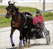  ?? LISA POWELL / STAFF ?? Dan Noble, an acclaimed driver and the fourth generation ofa famed harness racing family, works a 2-year-old filly named Dragon Damsel at the Greene County Fairground­s.