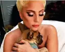  ?? ?? Beloved: Lady Gaga with Koji