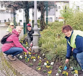  ?? RP-FOTO: DIETRICH JANICKI ?? Wülfrath wird schöner: Aktive pflanzten am Dreck-weg-Tag im vergangene­n Jahr Stiefmütte­rchen im Angergarte­n.