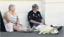  ??  ?? Tuckered out . . . Stephanie and Jason Jeffs, of Christchur­ch, have a break in the shade with their sleeping dog Brocky.