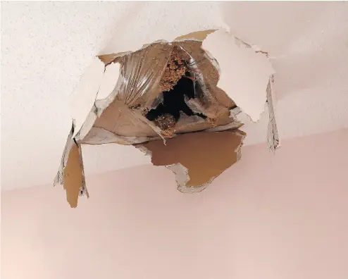  ?? PHOTOS: LEAH HENNEL / POSTMEDIA ?? The hole in the ceiling of Theresa and Richard Couch’s roof in Calgary caused by falling ice from a Q400 aircraft.