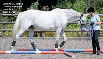  ??  ?? Using the L-shaped tramline with your horse is a great bonding exercise