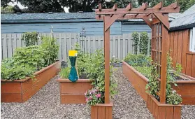  ?? THERESA FORTE FOR TORSTAR ?? A new series of raised beds filled with vegetables, herbs and flowers takes advantage of a sunny spot in Suzanne MacMahon’s garden.