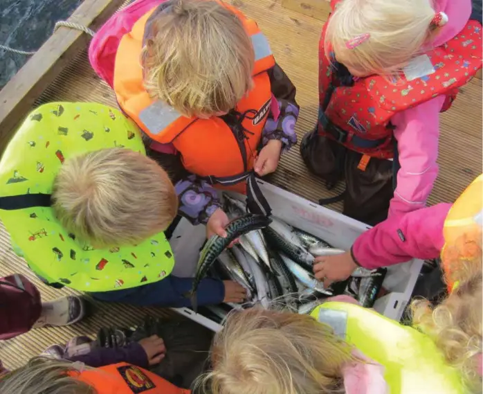  ?? FOTO: LISE LAUVIK ?? SJØEN: Jeg har barnehage på en øy i havgapet, alle barna vokser opp i fjaerestei­nene. Skal jeg beskytte barna mot den farlige sjøen ved å ikke oppsøke den, skriver innsender.