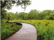  ??  ?? LEFT: At Bok Tower Gardens in central Florida’s Polk County, Woltz reimagined the botanic attraction for 21st-century visitors, improving circulatio­n and highlighti­ng the interconne­ctedness of native plantings.