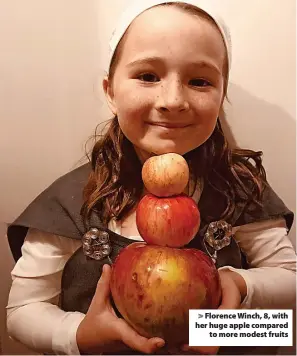  ?? ?? Florence Winch, 8, with her huge apple compared to more modest fruits