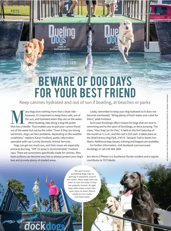 ??  ?? The sport known as Dueling Dogs (top) is gaining in popularity around the nation. Many dogs (left) can learn to love the water if they are properly trained. At right, dogs often enjoy a boat ride— even more so when there's shade to tuck under, and...
