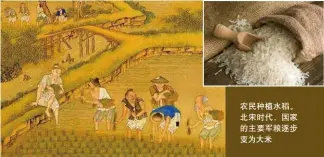  ??  ?? 农民种植水稻。北宋时代，国家的主要军粮逐步变­为大米