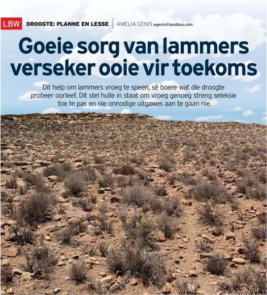  ?? FOTO’S: AMELIA GENIS, TENSY ANDERS VERMELD ?? Dit is belangrik om diere in die droogte te verminder omdat dit ’n tyd is dat die veld groter skade kan opdoen deur beweiding.