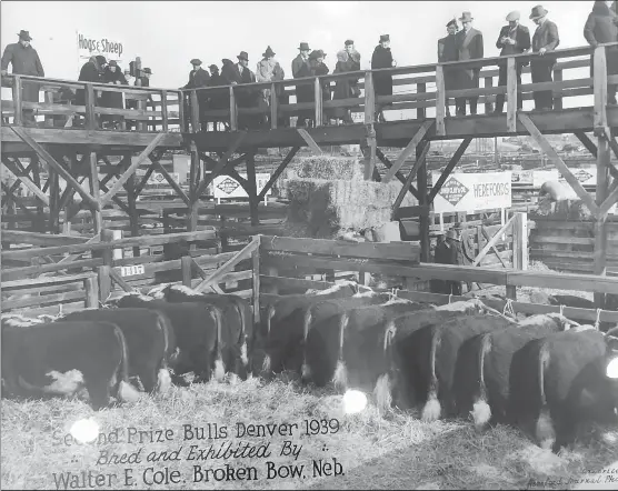 The evolution of a ranch legacy - PressReader