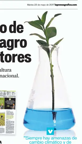  ??  ?? EMPRESARIO­S Y AGREMIADOS DEL SECTOR AGRÍCOLA DEL PAÍS EXPRESARON QUE EL SALVADOR PODRÍA MEJORAR SU PRODUCCIÓN SI SE TRABAJA CON SEMILLAS MEJORADAS. Martes 23 de mayo de 2017